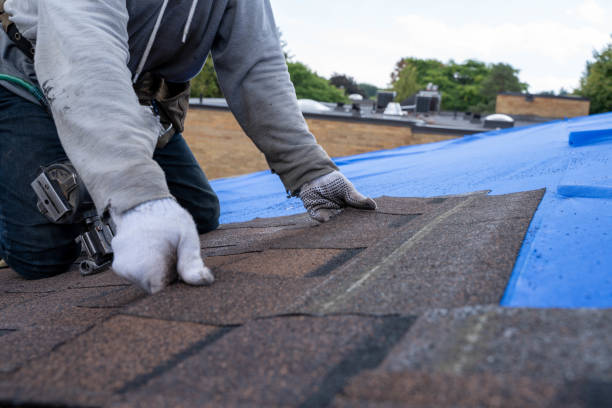 Best Metal Roofing Installation  in East Griffin, GA