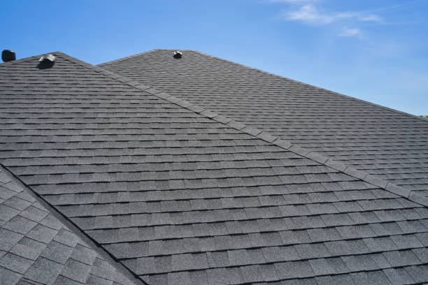 Best Skylight Installation and Repair  in East Griffin, GA
